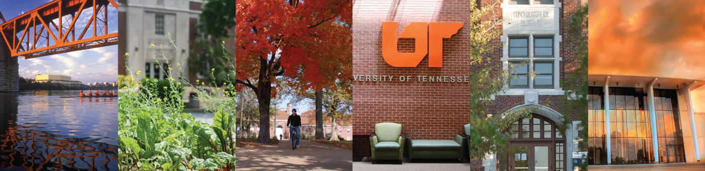 photos from UT campuses and institutes